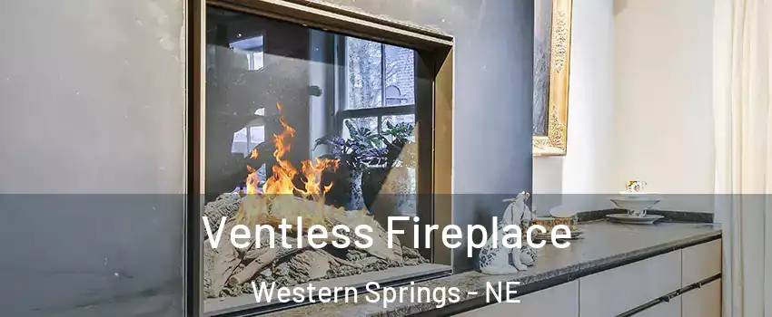Ventless Fireplace Western Springs - NE