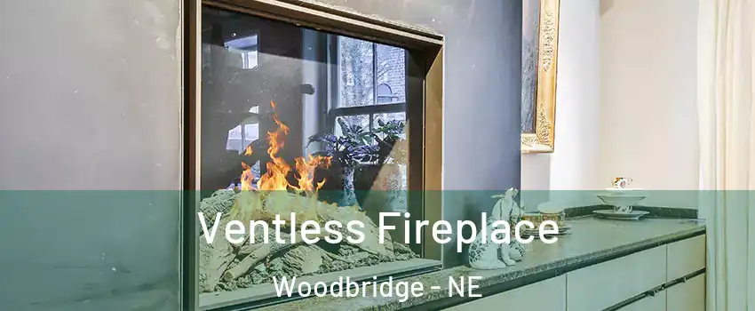 Ventless Fireplace Woodbridge - NE
