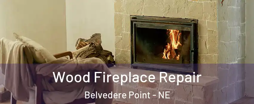 Wood Fireplace Repair Belvedere Point - NE