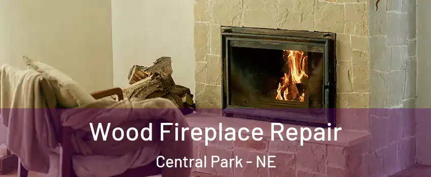 Wood Fireplace Repair Central Park - NE