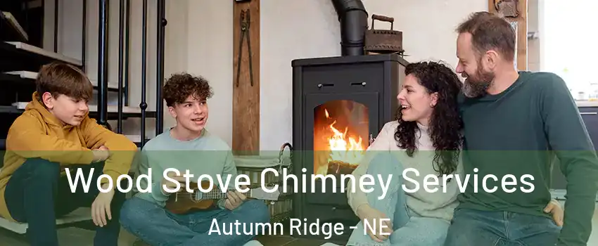 Wood Stove Chimney Services Autumn Ridge - NE