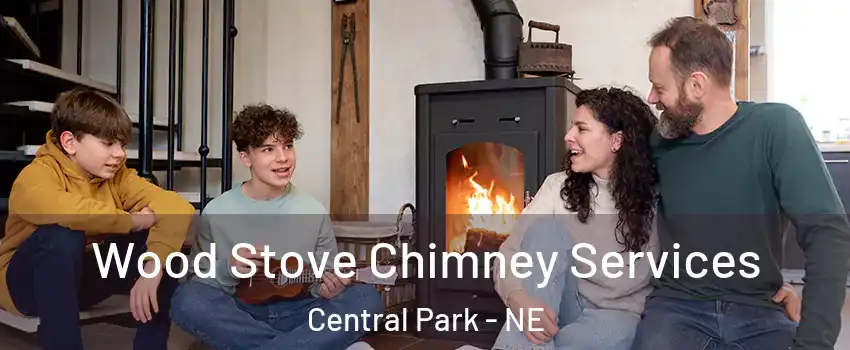 Wood Stove Chimney Services Central Park - NE