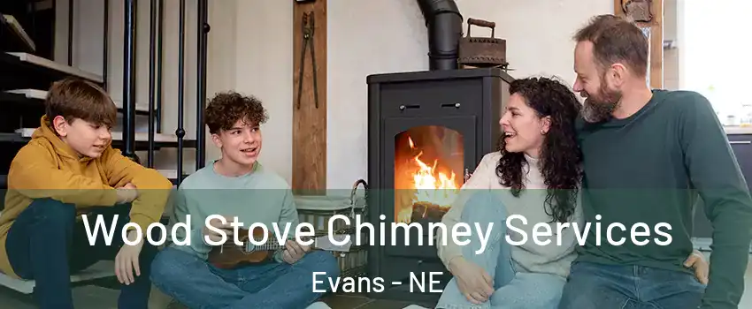 Wood Stove Chimney Services Evans - NE
