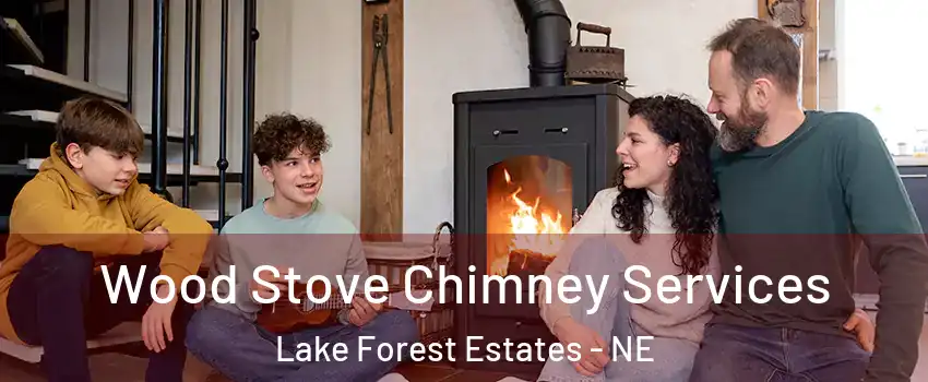 Wood Stove Chimney Services Lake Forest Estates - NE