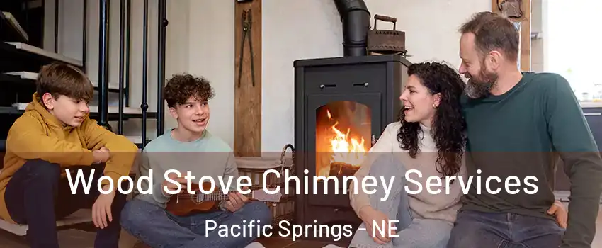 Wood Stove Chimney Services Pacific Springs - NE