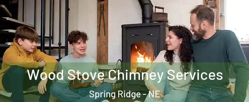 Wood Stove Chimney Services Spring Ridge - NE