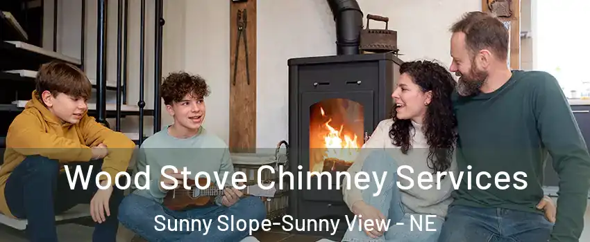 Wood Stove Chimney Services Sunny Slope-Sunny View - NE