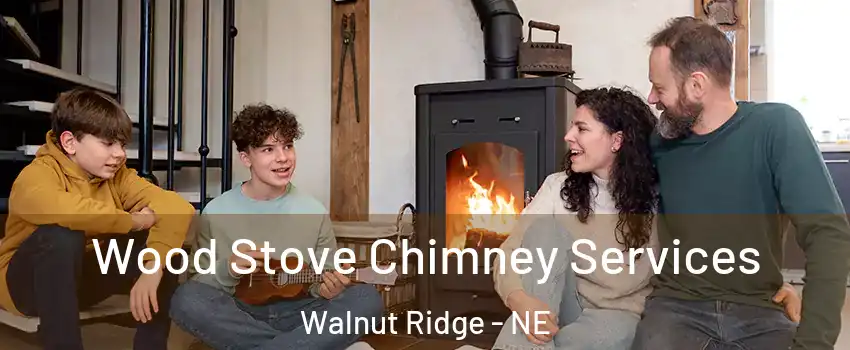 Wood Stove Chimney Services Walnut Ridge - NE