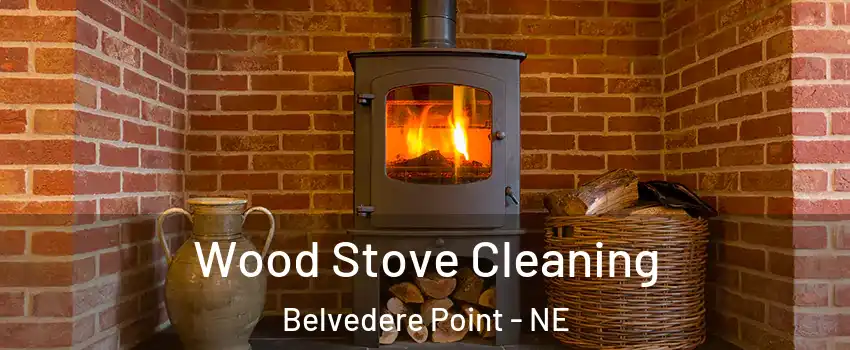 Wood Stove Cleaning Belvedere Point - NE