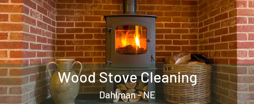 Wood Stove Cleaning Dahlman - NE