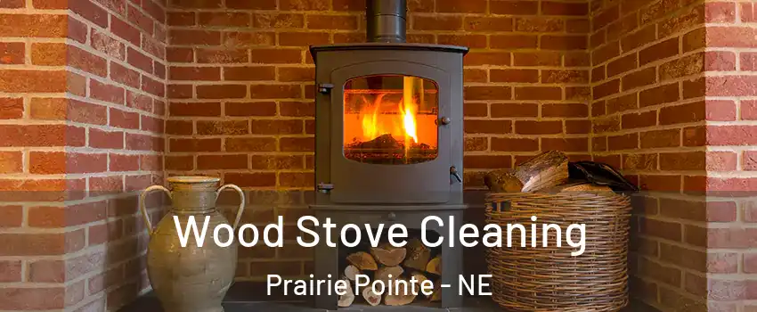 Wood Stove Cleaning Prairie Pointe - NE