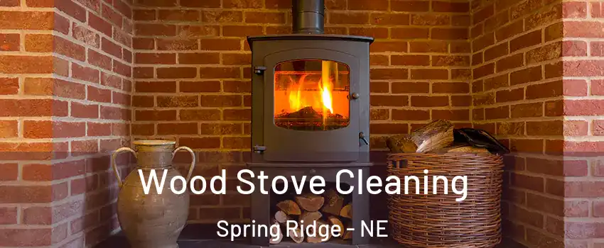Wood Stove Cleaning Spring Ridge - NE