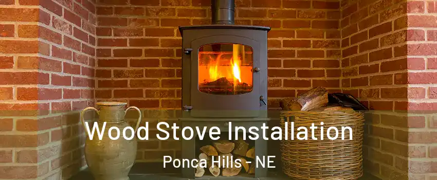 Wood Stove Installation Ponca Hills - NE