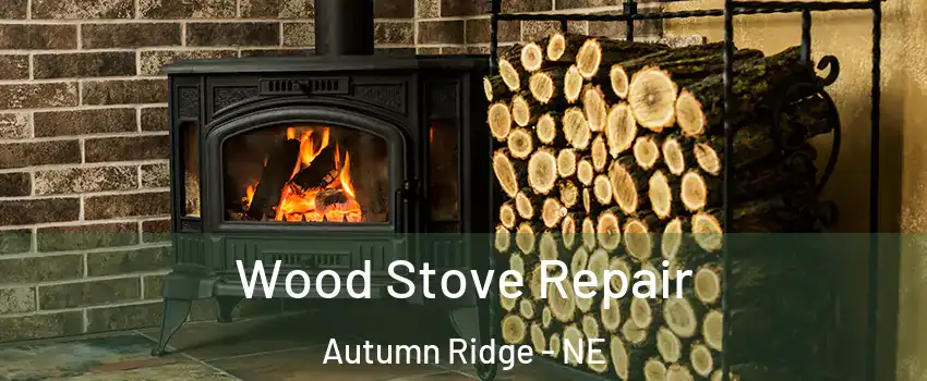 Wood Stove Repair Autumn Ridge - NE