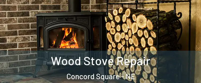 Wood Stove Repair Concord Square - NE
